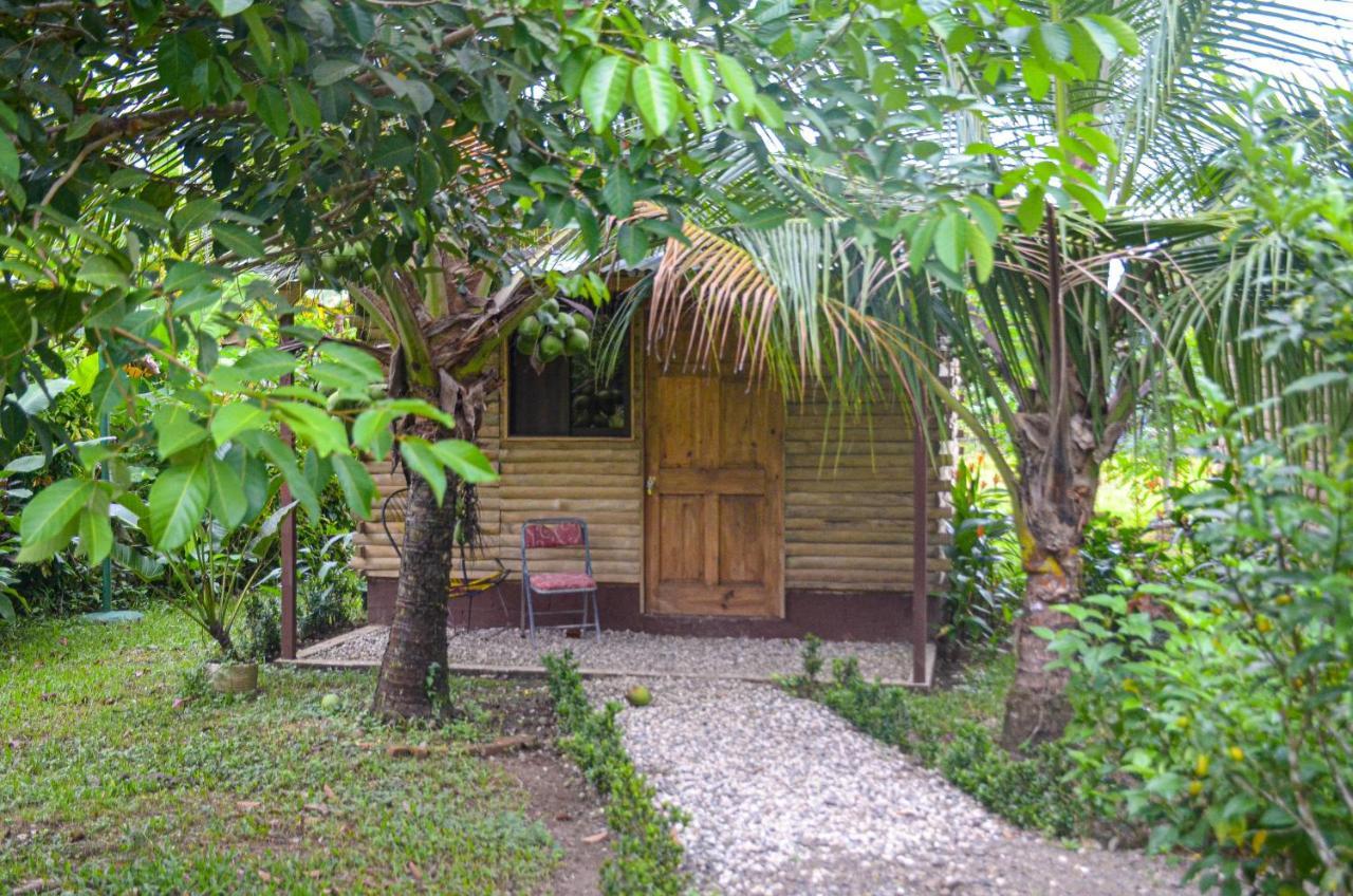 Hospedaje Y Alojamiento Cabanas Don Beto La Palma Esterno foto