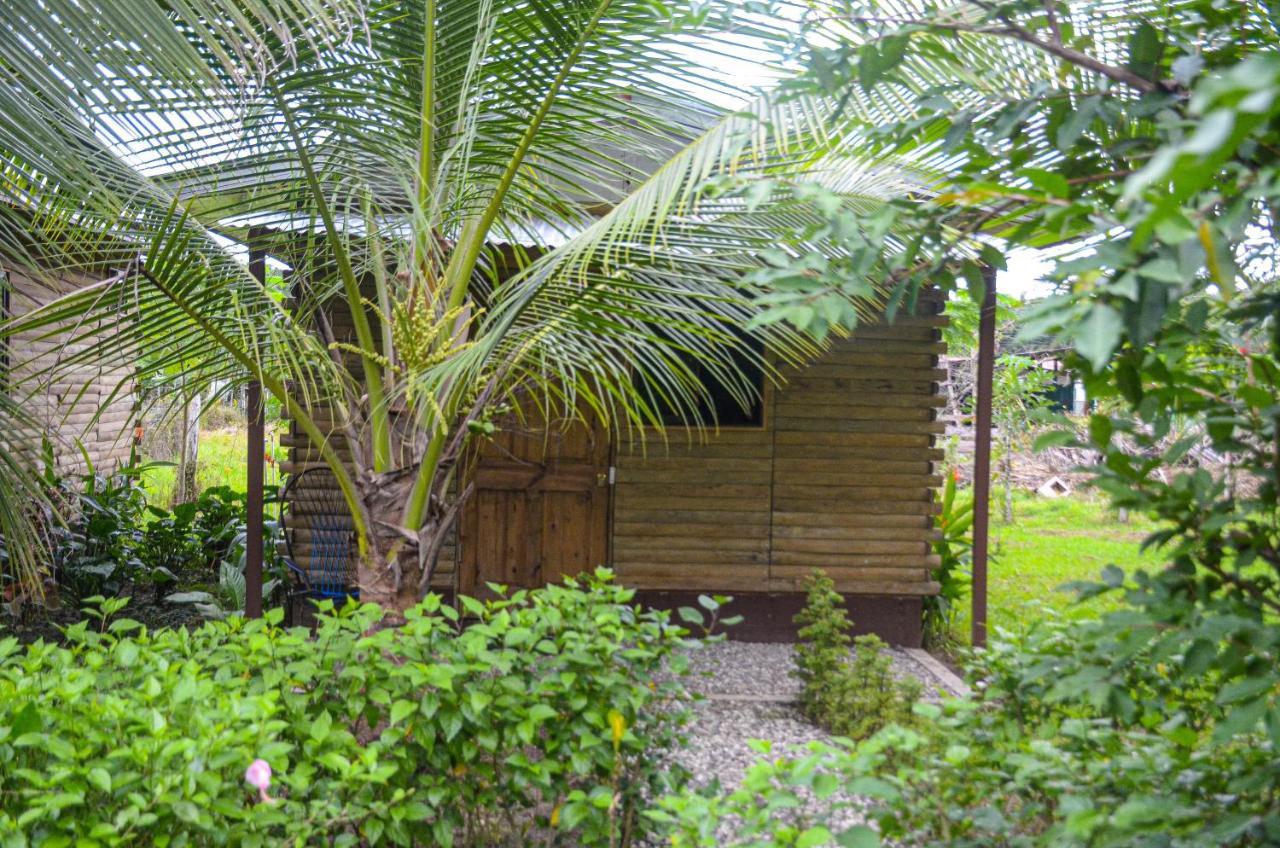 Hospedaje Y Alojamiento Cabanas Don Beto La Palma Esterno foto